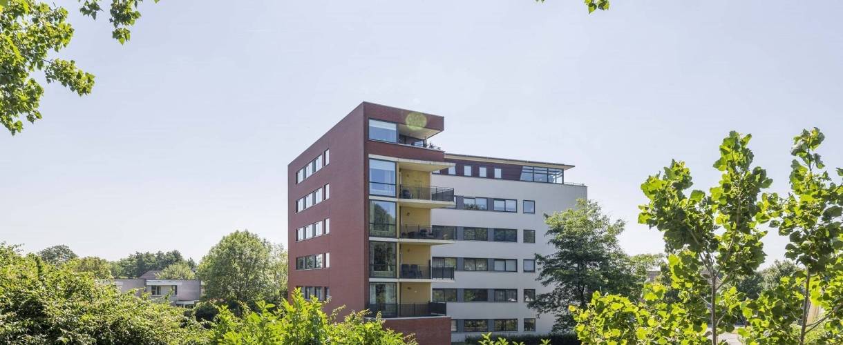 Afbeelding van Concept
