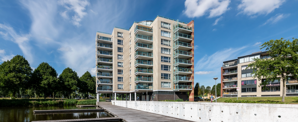 Renovation & Sustainability